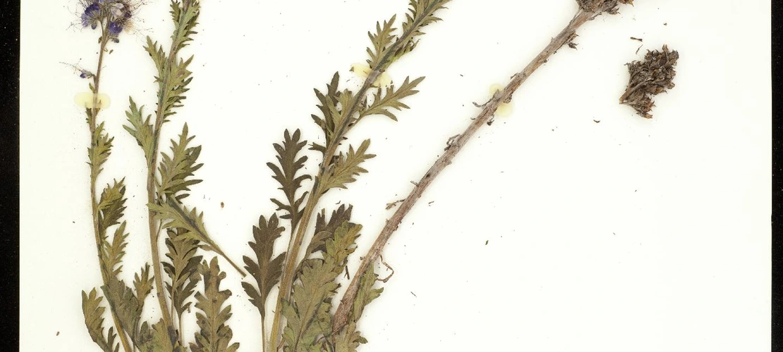 Sorry, no alternate text available