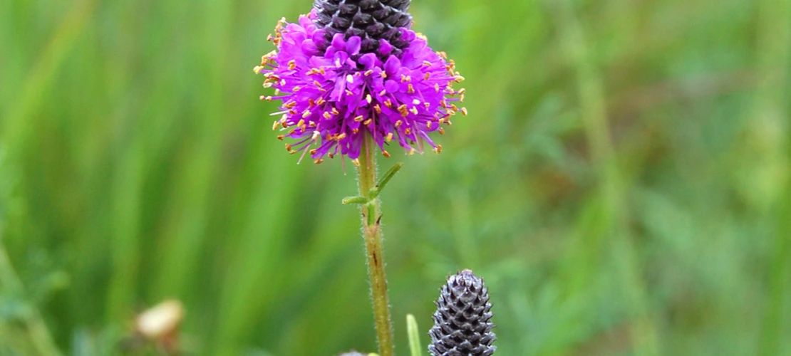 Sorry, no alternate text available