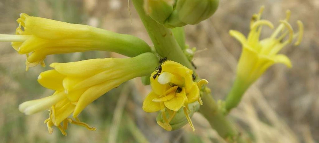 Sorry, no alternate text available