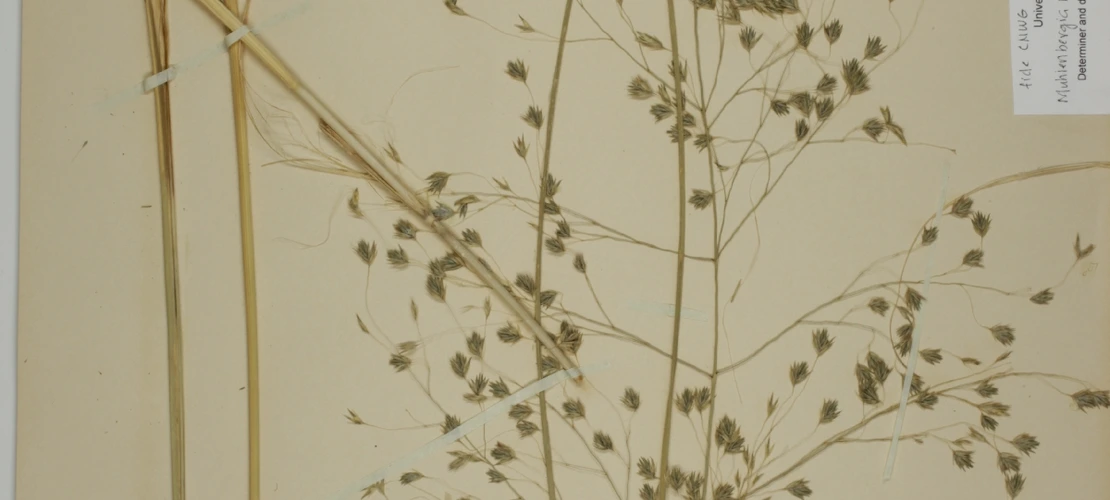 Sorry, no alternate text available