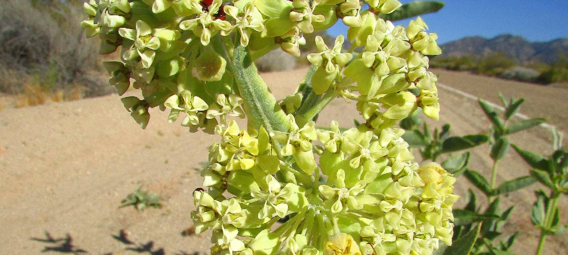 Sorry, no alternate text available