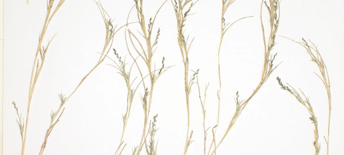 Sorry, no alternate text available