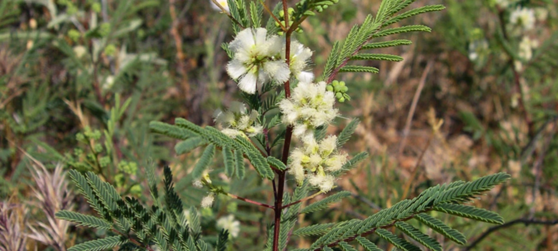 Sorry, no alternate text available