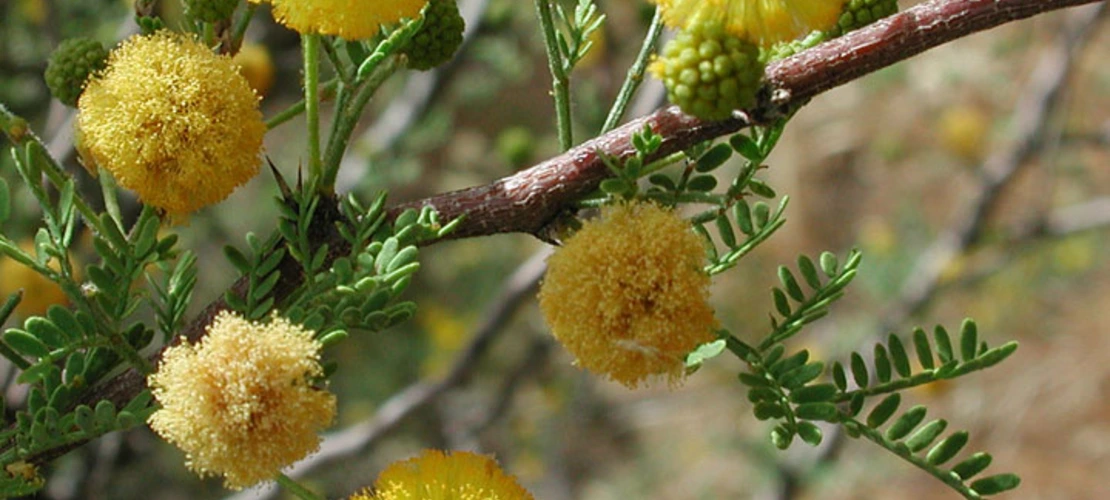 Sorry, no alternate text available