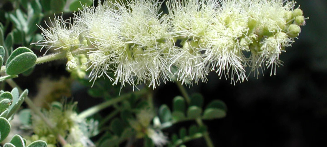 Sorry, no alternate text available