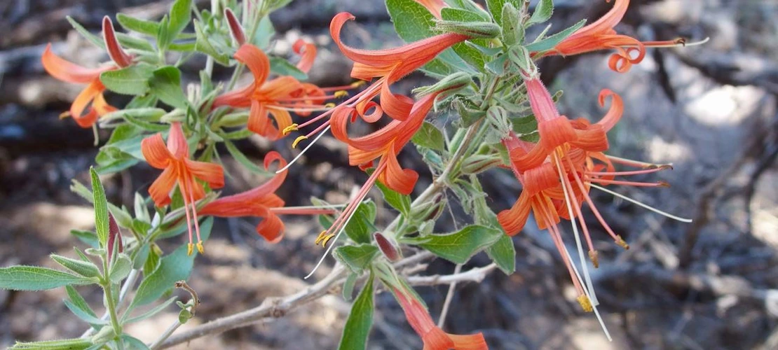 Sorry, no alternate text available