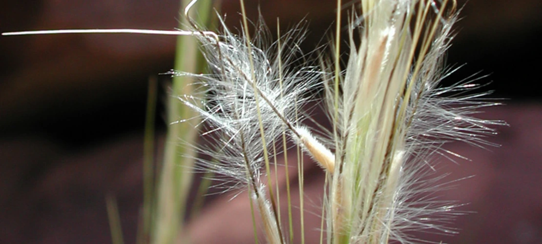 Sorry, no alternate text available