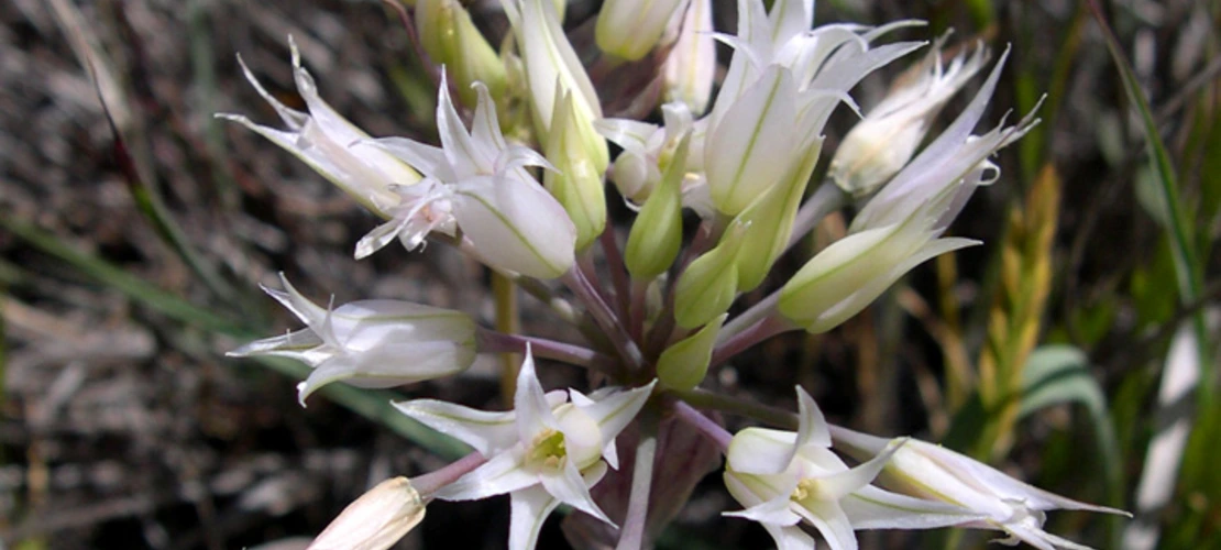 Sorry, no alternate text available