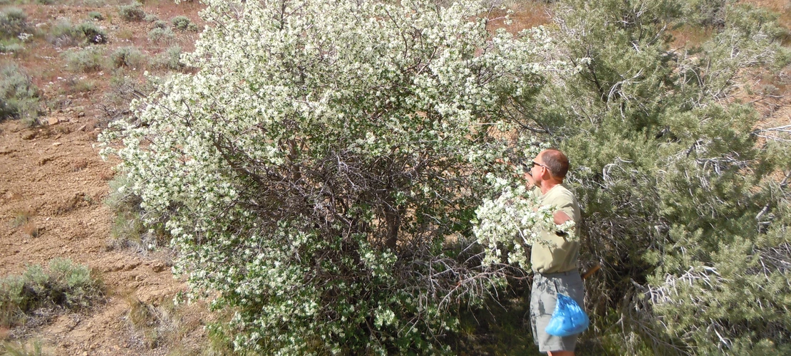 Sorry, no alternate text available