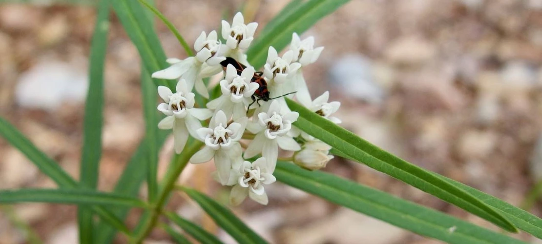 Sorry, no alternate text available