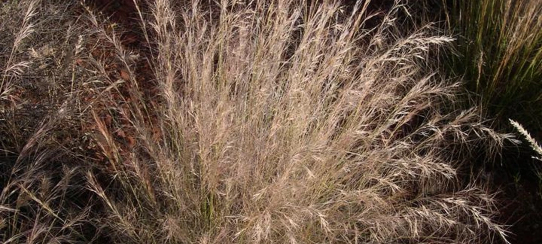 Sorry, no alternate text available