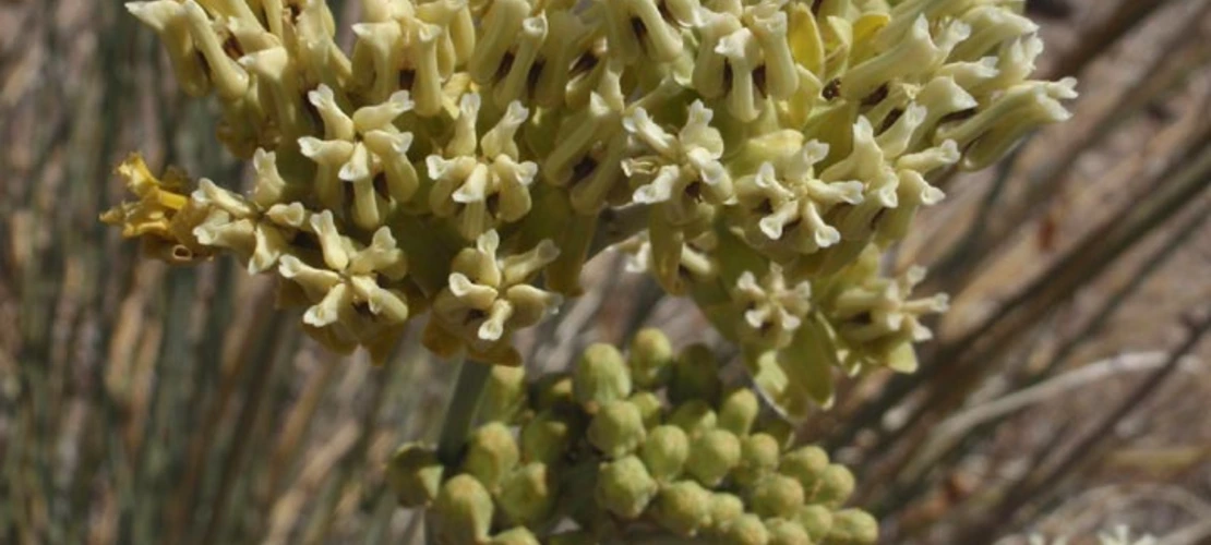 Sorry, no alternate text available