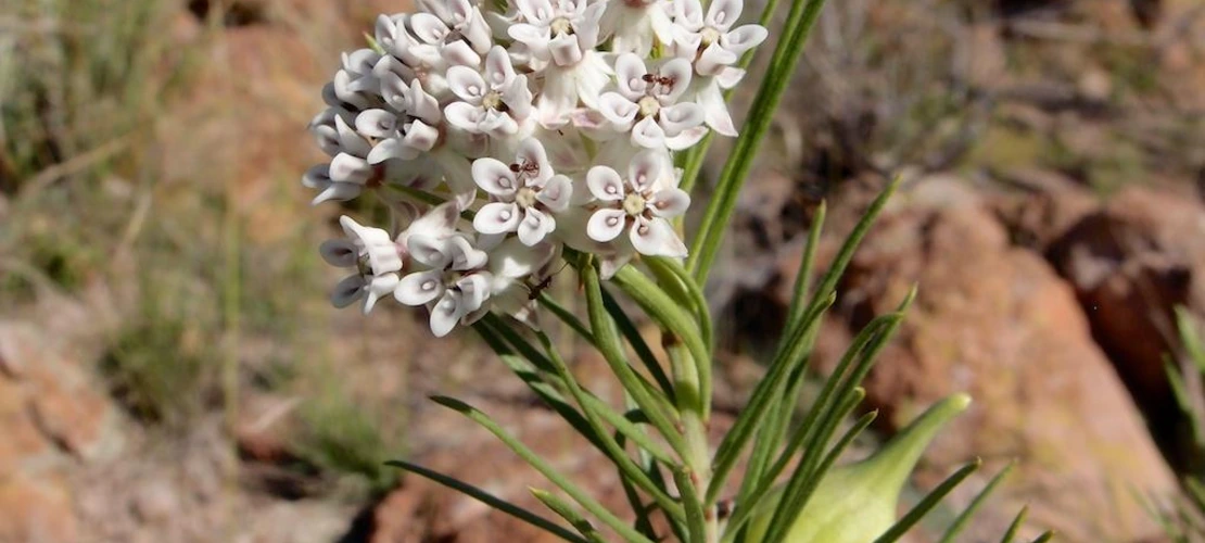 Sorry, no alternate text available