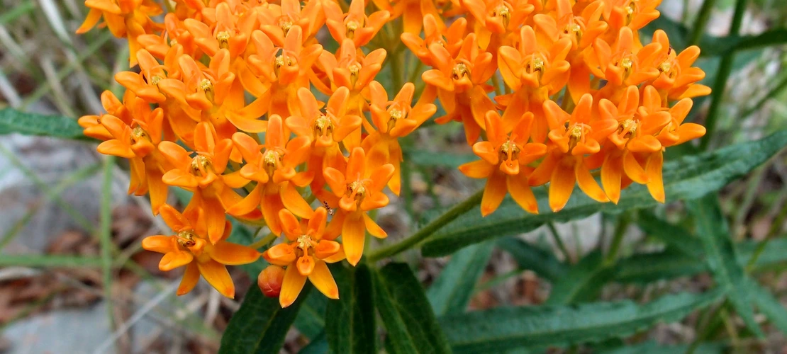 Sorry, no alternate text available