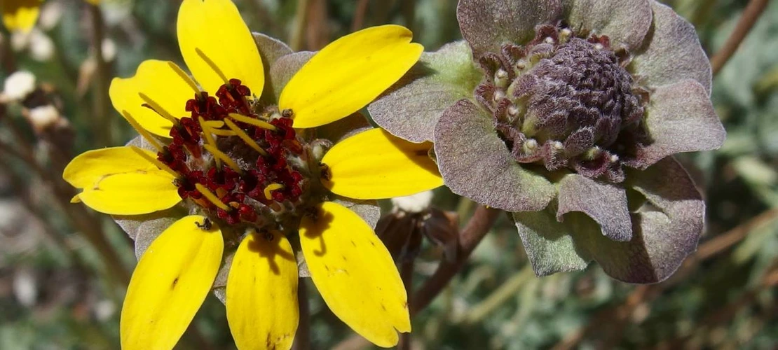 Sorry, no alternate text available