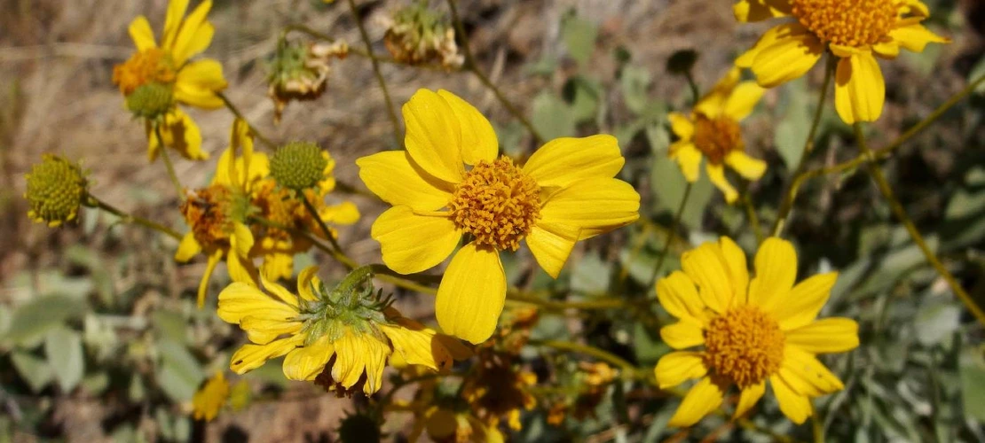 Sorry, no alternate text available