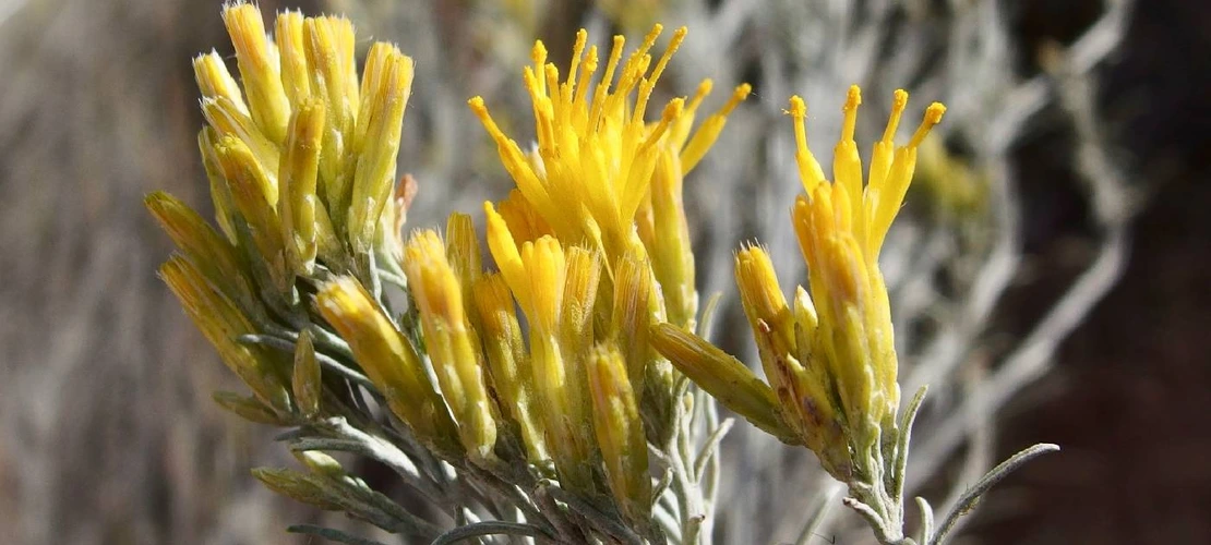 Sorry, no alternate text available