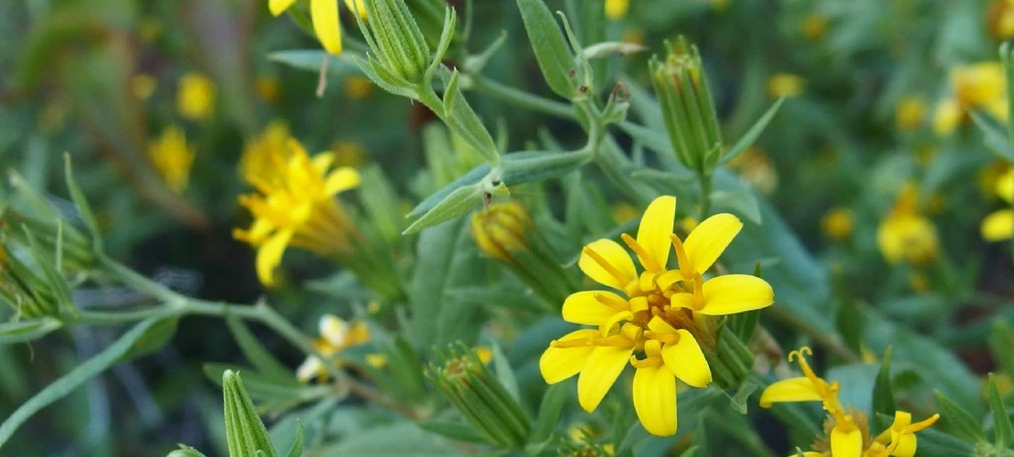 Sorry, no alternate text available