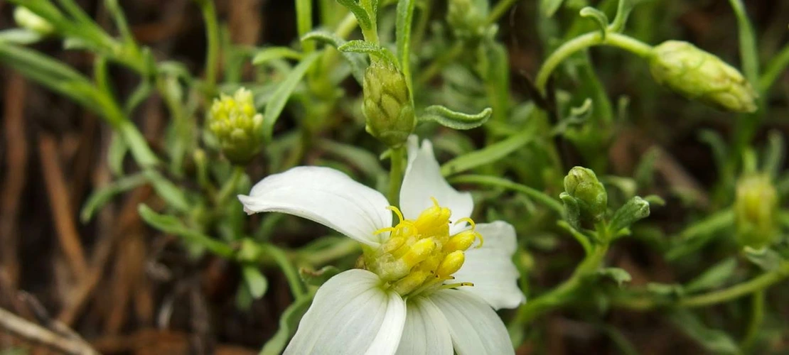 Sorry, no alternate text available