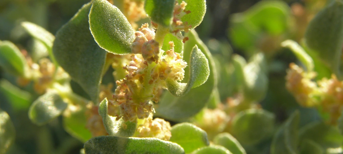 Sorry, no alternate text available