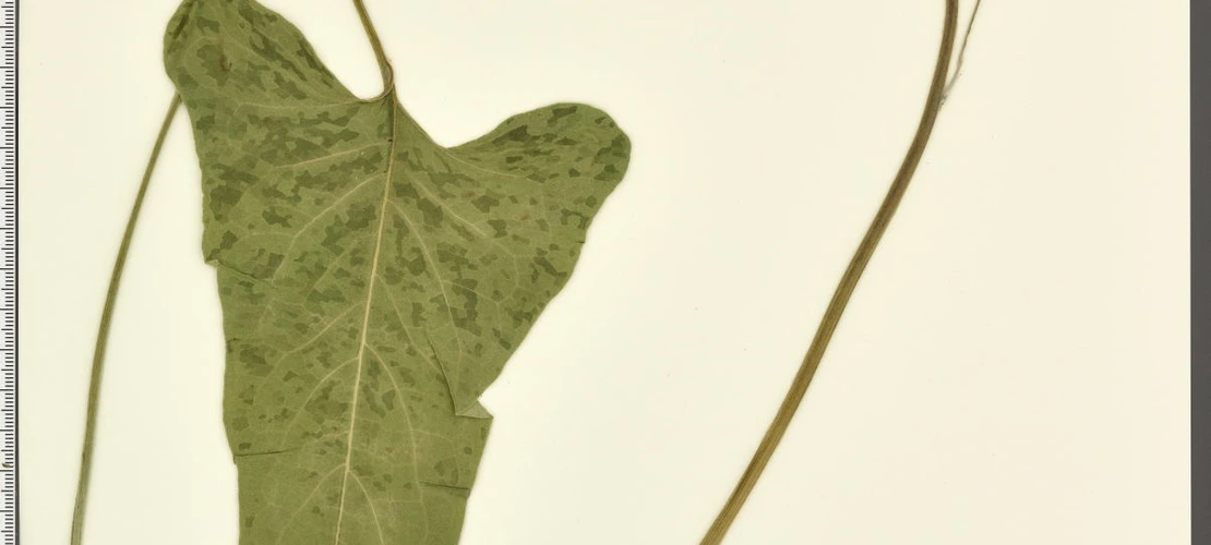 Sorry, no alternate text available