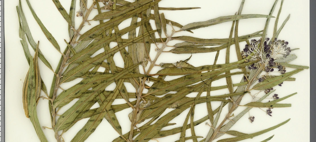 Sorry, no alternate text available