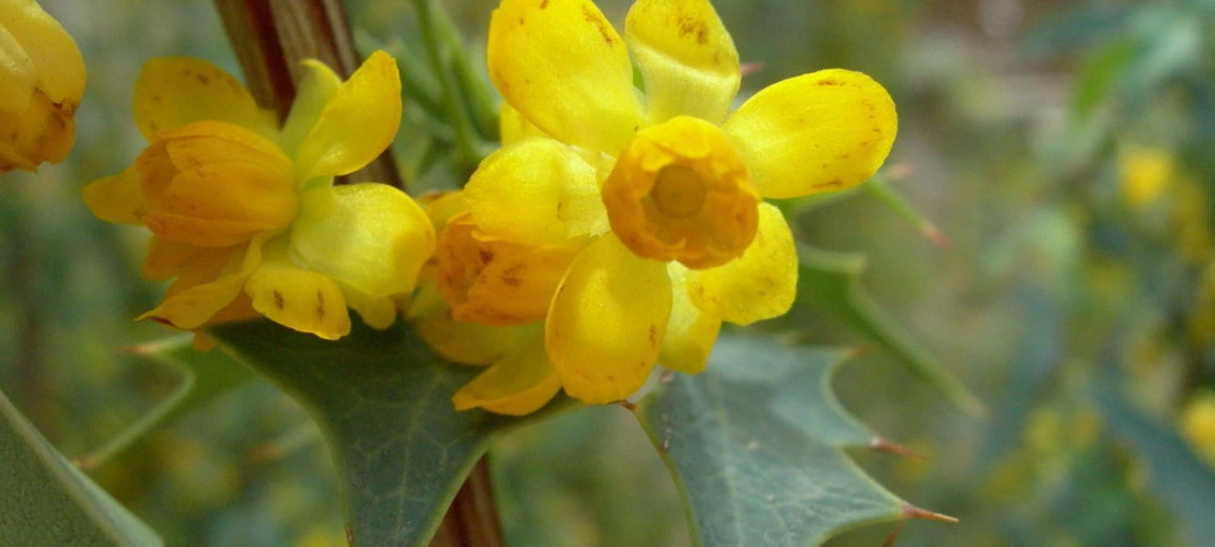 Sorry, no alternate text available