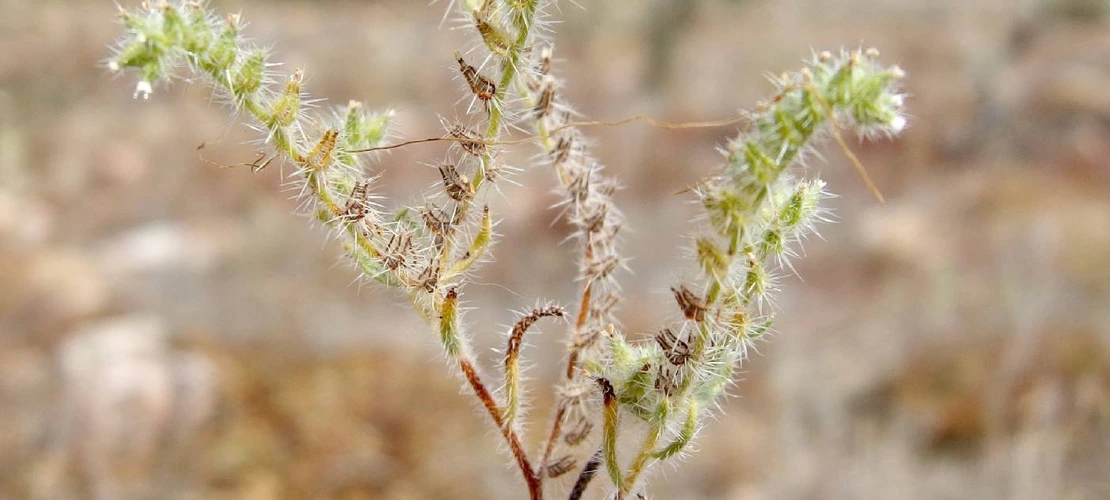 Sorry, no alternate text available