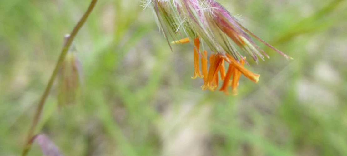 Sorry, no alternate text available