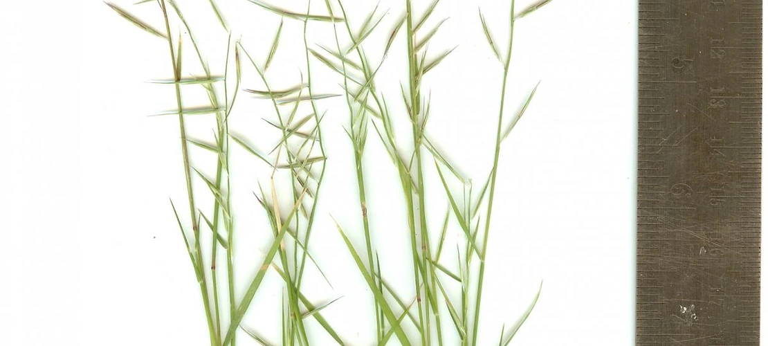 Sorry, no alternate text available