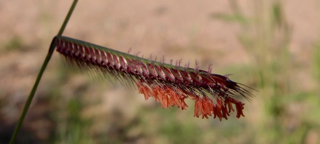 Sorry, no alternate text available