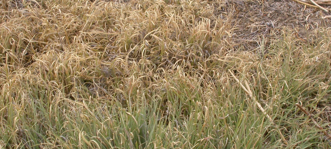 Sorry, no alternate text available