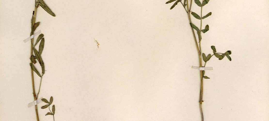 Sorry, no alternate text available