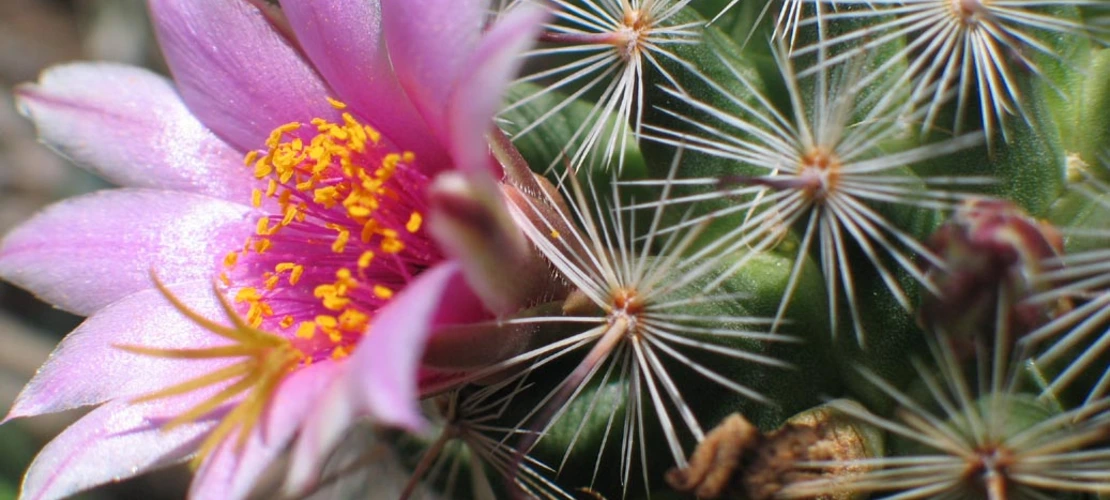 Sorry, no alternate text available