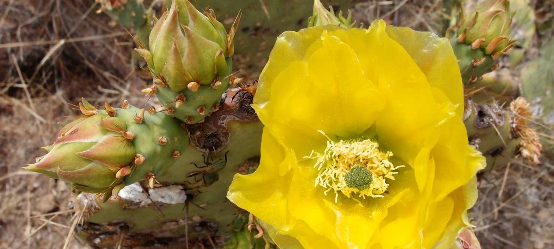 Sorry, no alternate text available