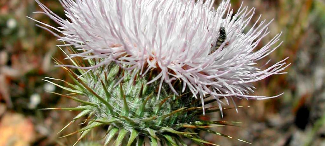 Sorry, no alternate text available