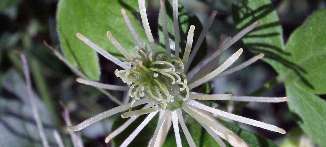 Sorry, no alternate text available