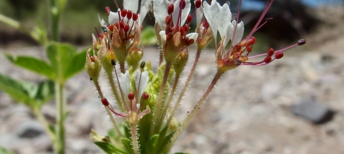 Sorry, no alternate text available