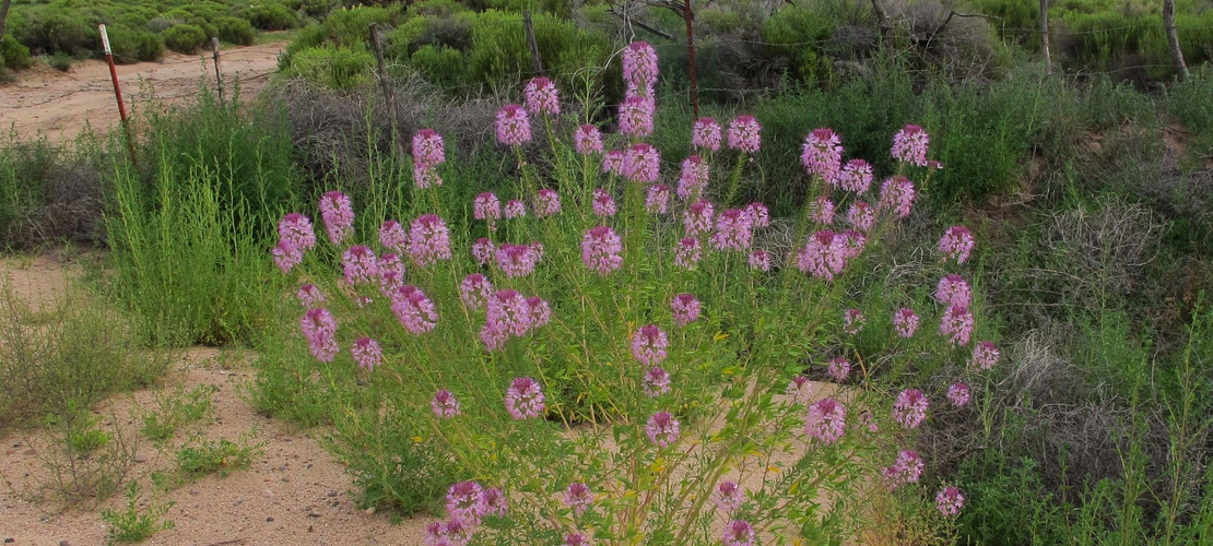 Sorry, no alternate text available