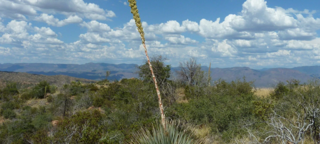 Sorry, no alternate text available