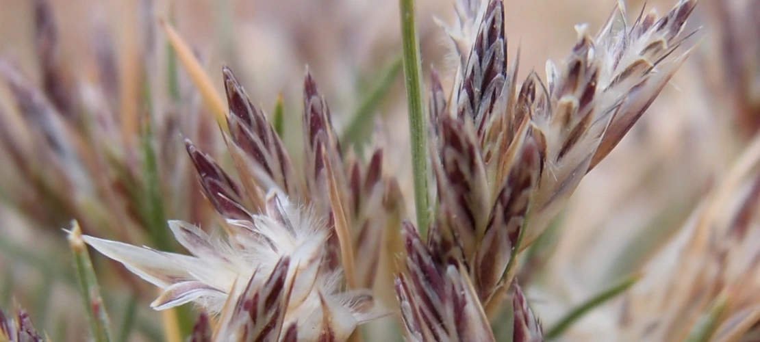 Sorry, no alternate text available