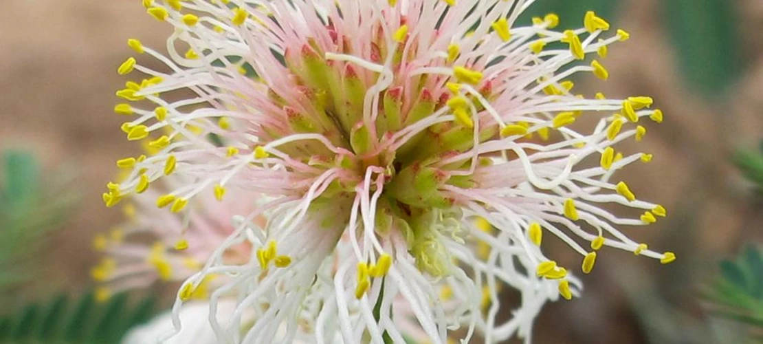 Sorry, no alternate text available