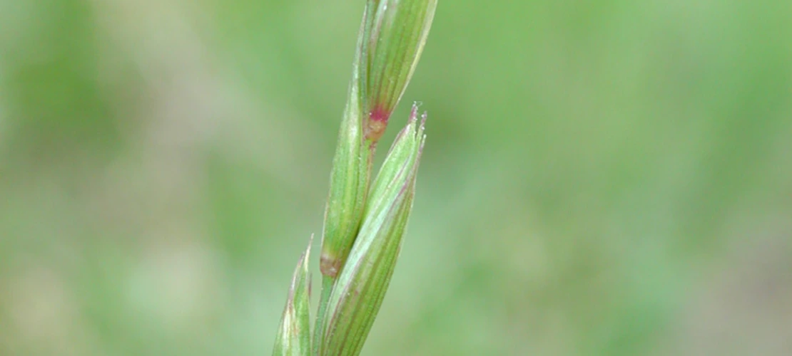 Sorry, no alternate text available