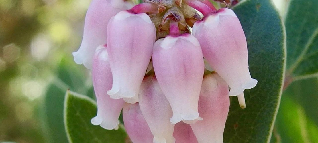 Sorry, no alternate text available