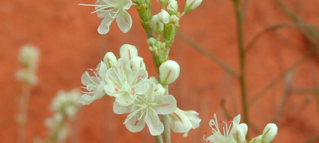 Sorry, no alternate text available