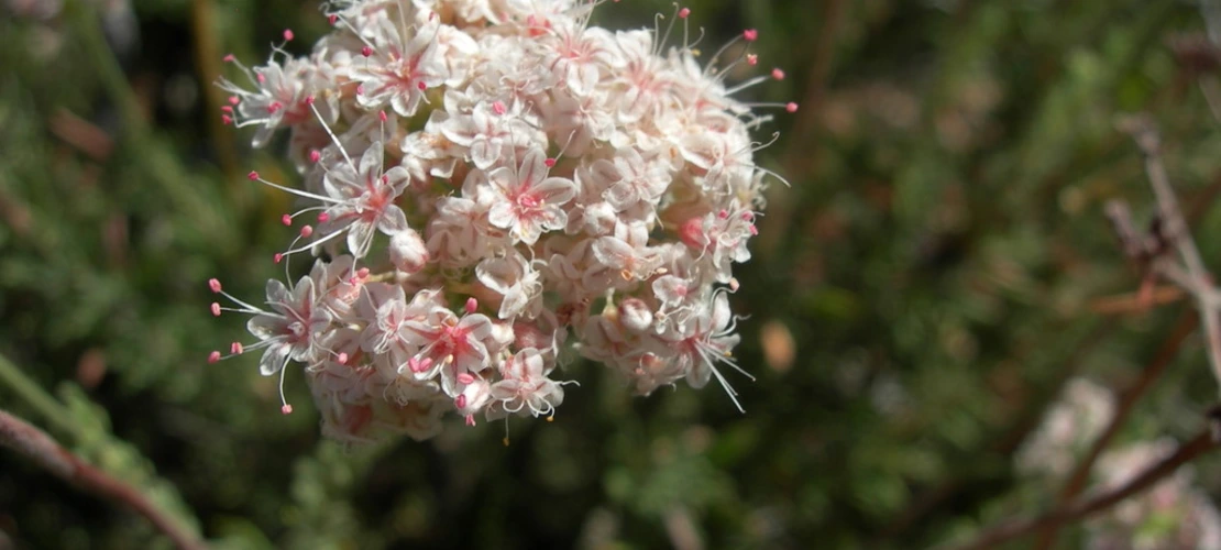 Sorry, no alternate text available