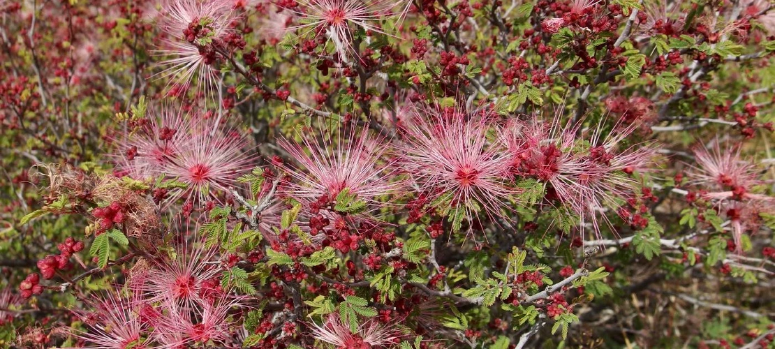 Sorry, no alternate text available