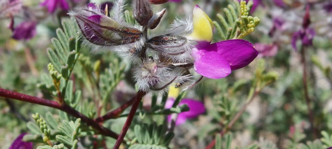 Sorry, no alternate text available