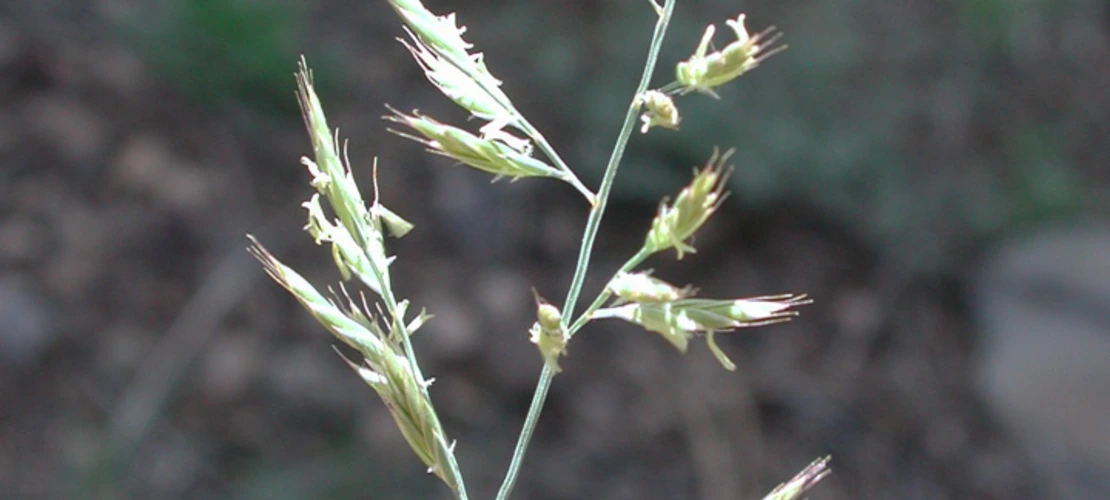 Sorry, no alternate text available