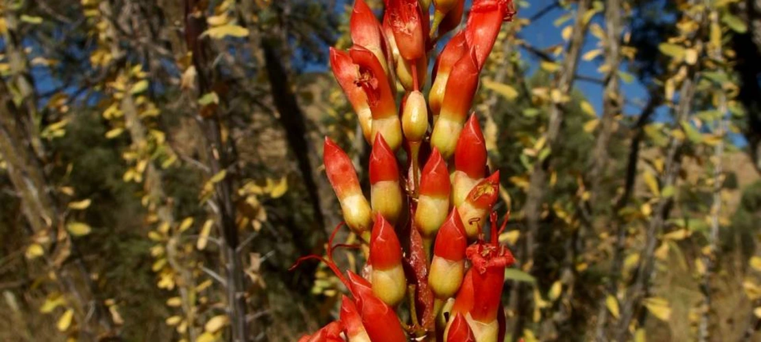 Sorry, no alternate text available